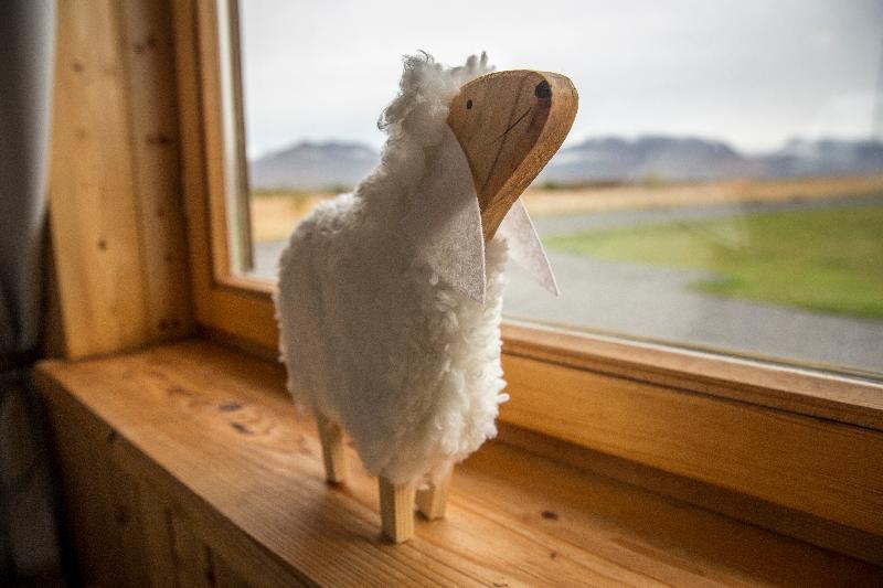 Camera Standard, Alif Avenidas