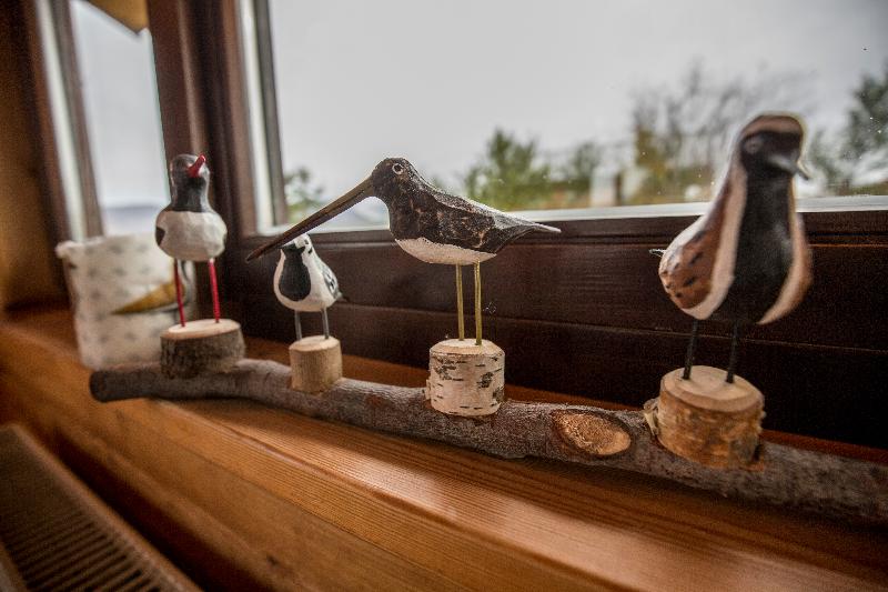 Camera Standard, Alif Avenidas