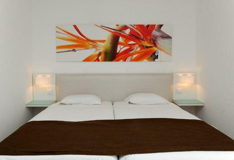 标准间, Dorisol Estrelicia