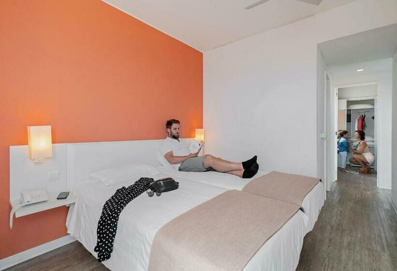 标准三人间, Dorisol Estrelicia