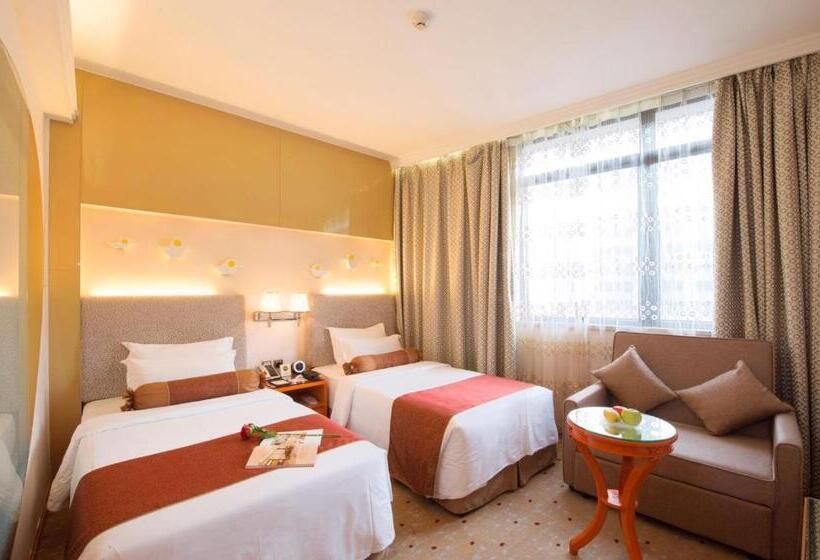 اتاق استاندارد, Metropole