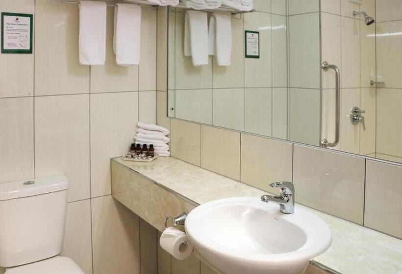 豪华房间, The Victoria Hotel Dunedin