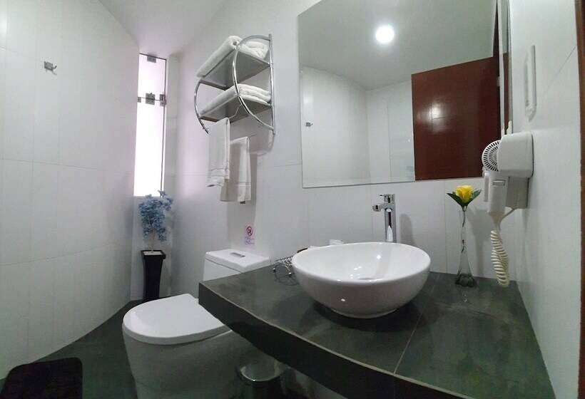 スタンダードルーム, Viza