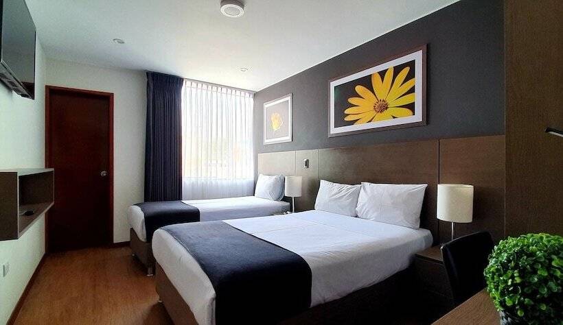 スタンダードトリプルルーム, Viza