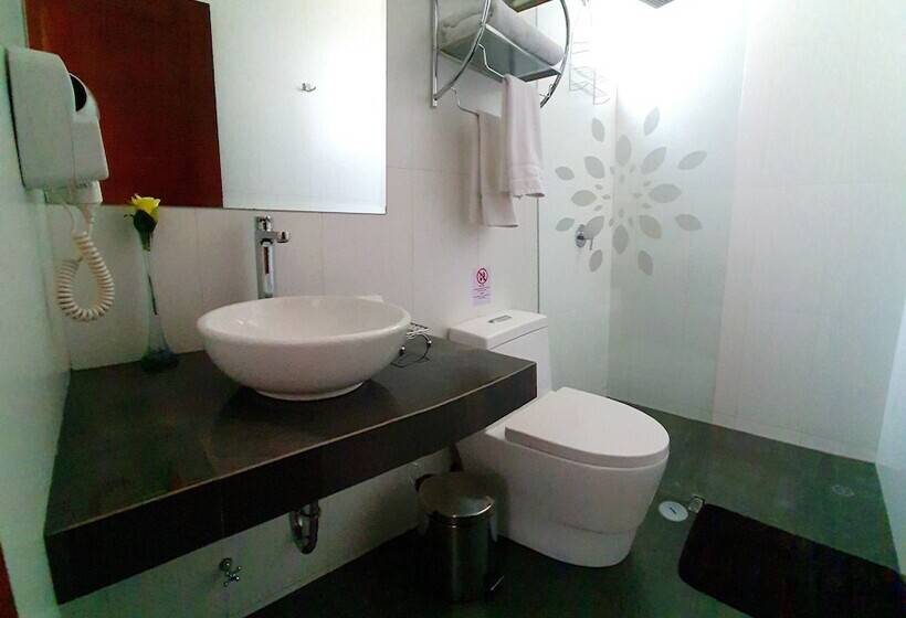 スタンダードトリプルルーム, Viza