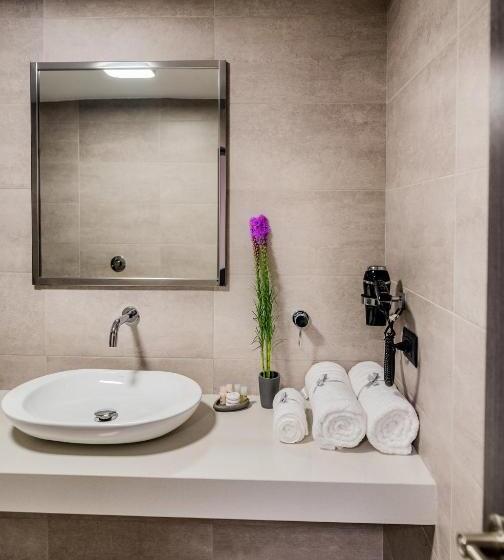 スタンダードルーム, Viza