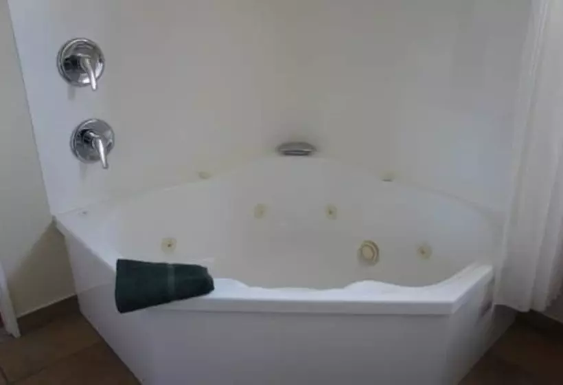 Executive-studio, Bk S Egmont Motor Lodge