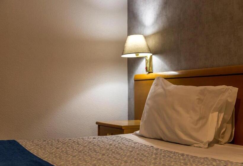 스탠다드 트리플 룸, Columbano