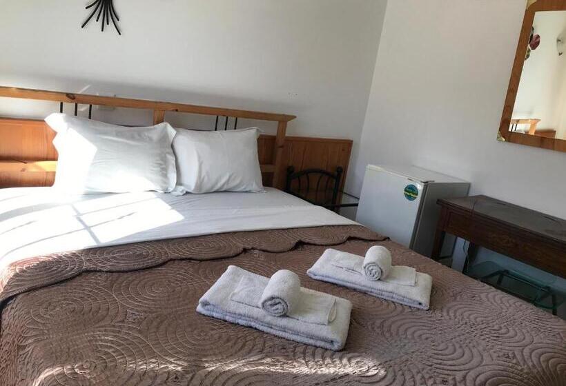 스탠다드 룸, Dbv Guesthouse