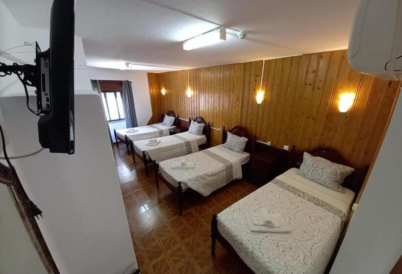 공동 객실, Dbv Guesthouse