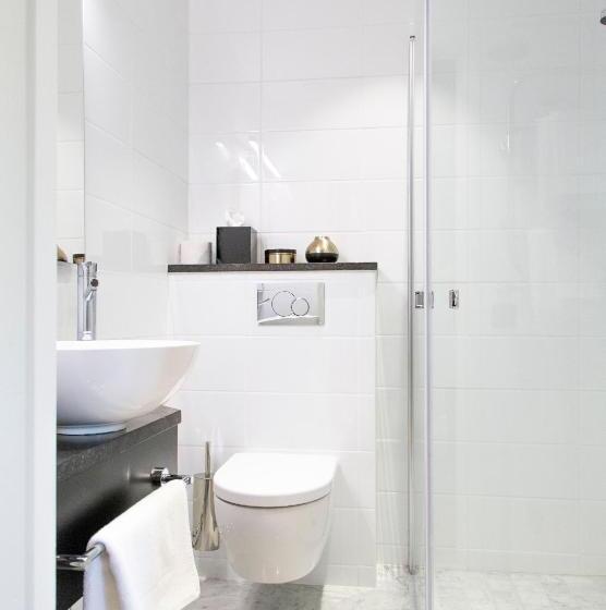 Полулюкс, Continental Du Sud