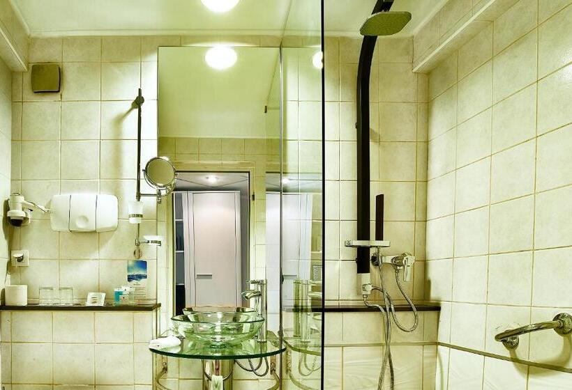 デラックスルーム, Continental Forum Arad