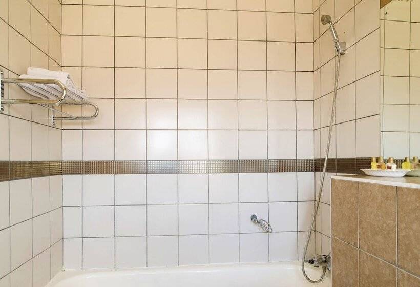 اتاق استاندارد, New Ambassador