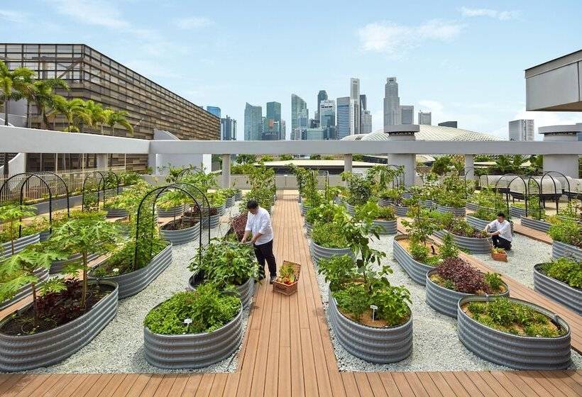 اتاق کلاب, Parkroyal Collection Marina Bay, Singapore