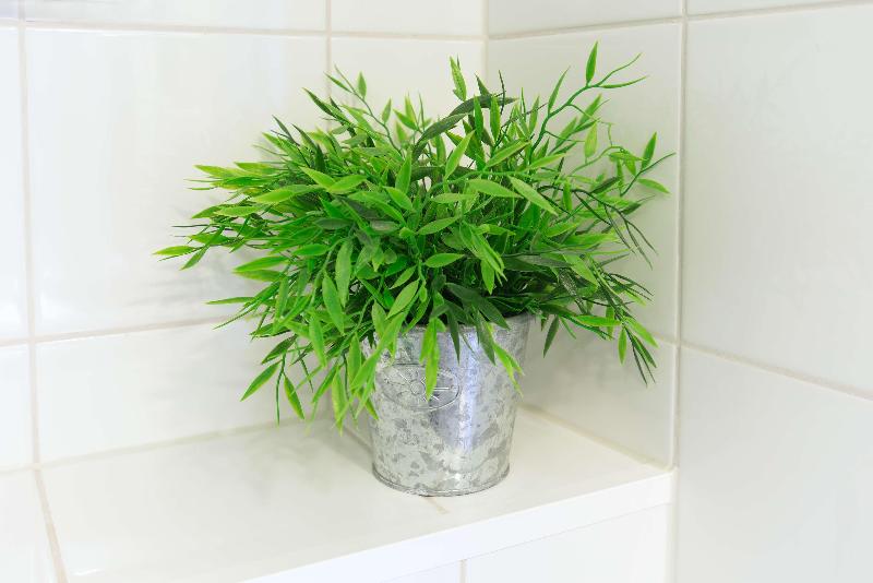 スーペリアールーム, Scandic Kemi