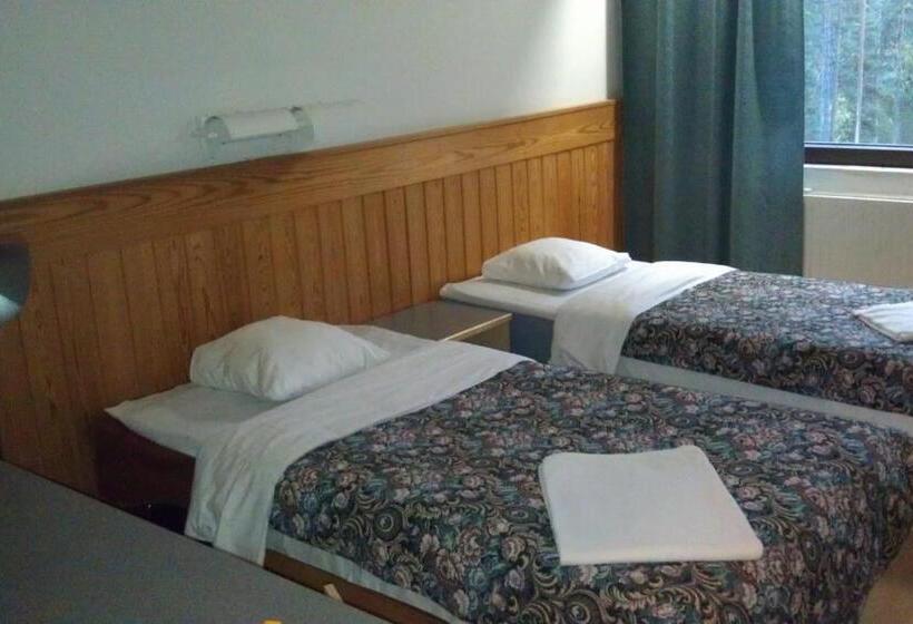 חדר משפחתי, Tulikettu