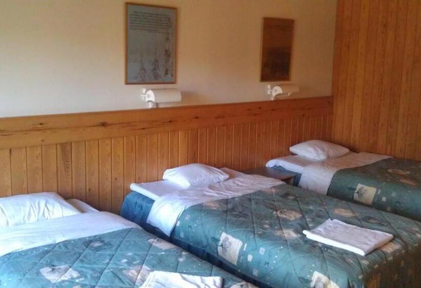 חדר סטנדרט לשלושה, Tulikettu