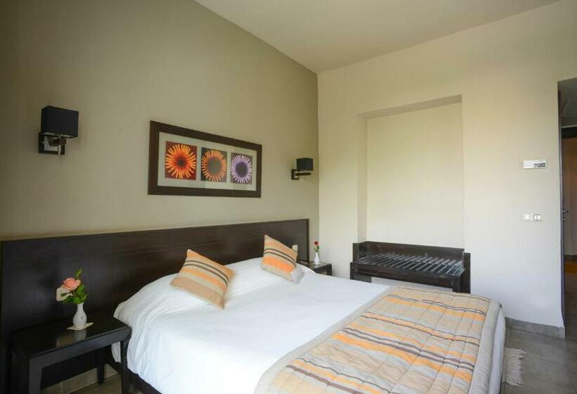 带海景的标准房, Nozha Beach Resort & Spa