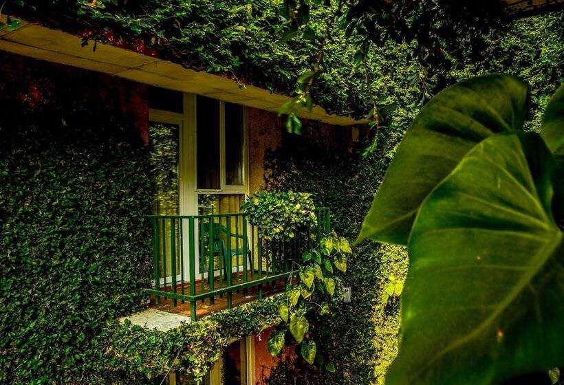 غرفة عائلية, Novo Hotel & Suite