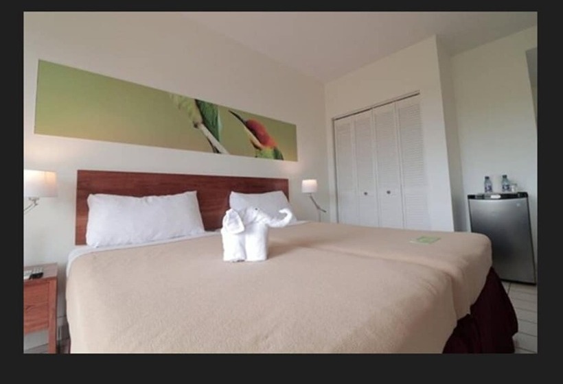 اتاق استاندارد, Eco Torarica