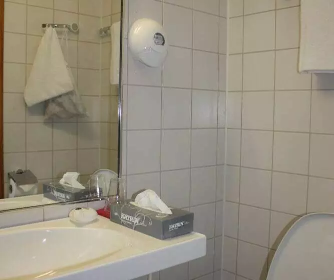 اتاق استاندارد یک نفره, Summer Hotel Tott