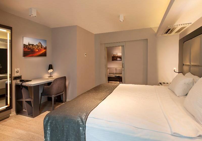 Suite Executive, Hisar Hotel