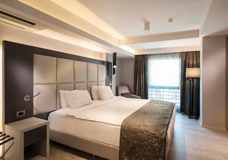 Suite Executive, Hisar Hotel