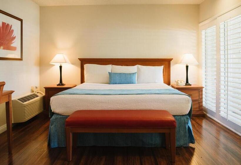 חדר סטנדרט עם מיטת קינג, Alamo Inn And Suites  Convention Center