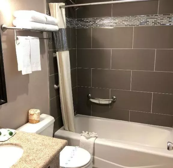 اتاق استاندارد, Alamo Inn And Suites  Convention Center
