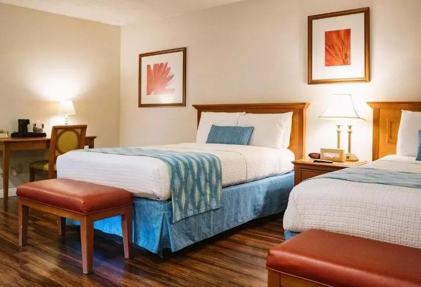 اتاق استاندارد با 2 تخت دوبل, Alamo Inn And Suites  Convention Center