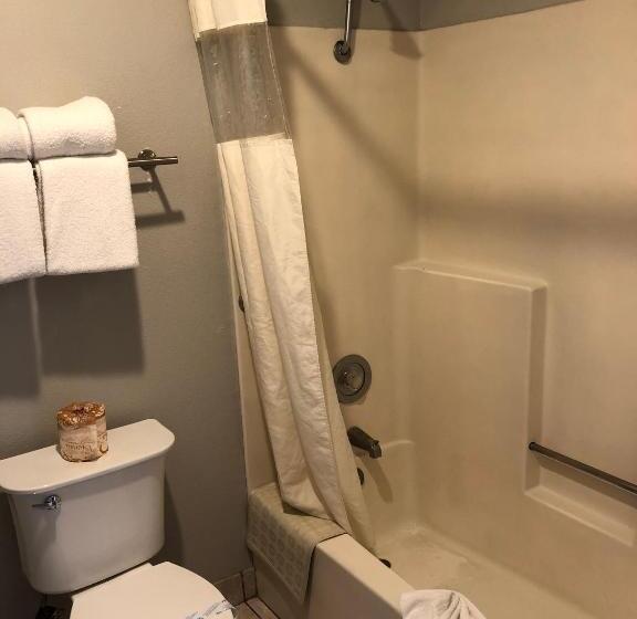 חדר סטנדרט שתי מיטות זוגיות, Alamo Inn And Suites  Convention Center