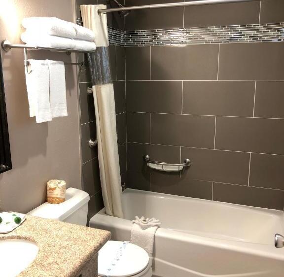 חדר סטנדרט שתי מיטות זוגיות, Alamo Inn And Suites  Convention Center