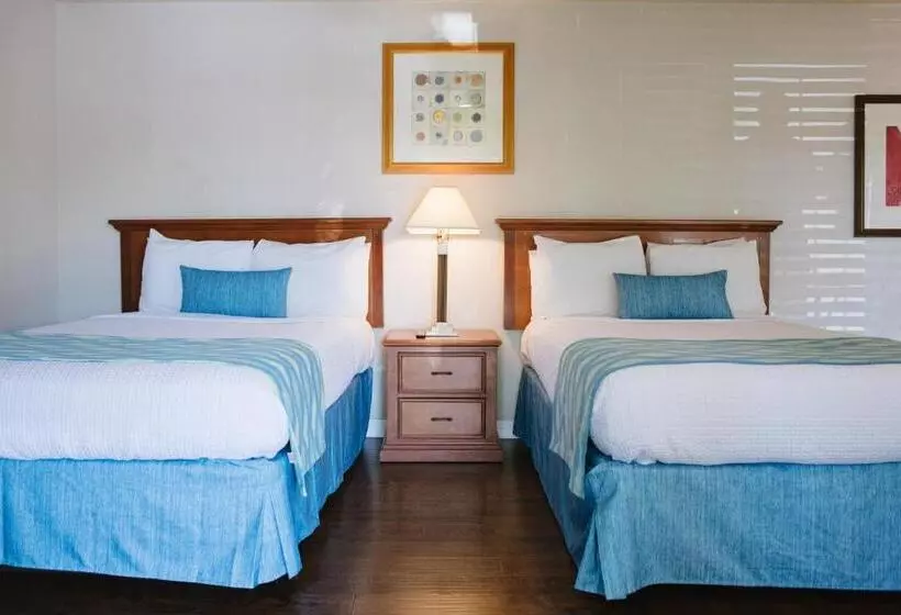 اتاق استاندارد با 2 تخت دوبل, Alamo Inn And Suites  Convention Center