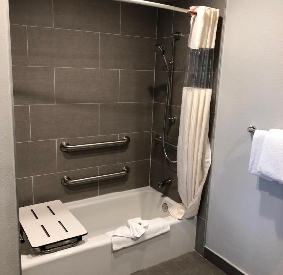 חדר סטנדרט מותאם לאדם עם מוגבלויות, Alamo Inn And Suites  Convention Center