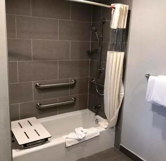 اتاق استاندارد برای معلولان, Alamo Inn And Suites  Convention Center