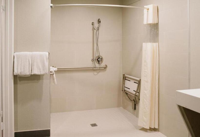 חדר סטנדרט מותאם לאדם עם מוגבלויות, Alamo Inn And Suites  Convention Center