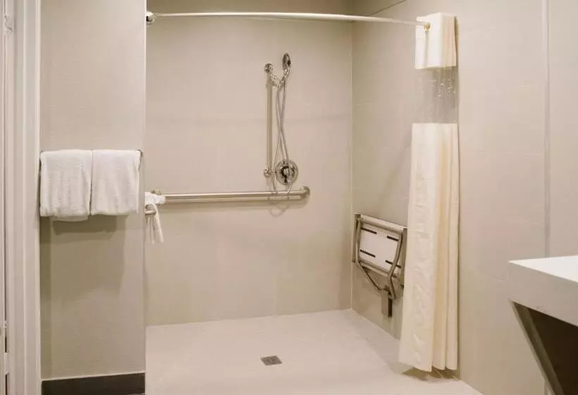 اتاق استاندارد برای معلولان, Alamo Inn And Suites  Convention Center
