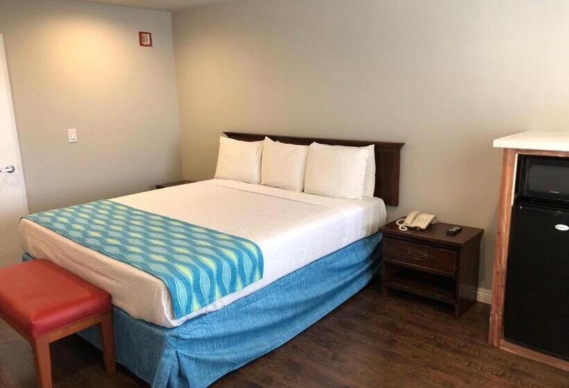 חדר סטנדרט, מיטת קינג, מותאם לאדם עם מוגבלויות, Alamo Inn And Suites  Convention Center
