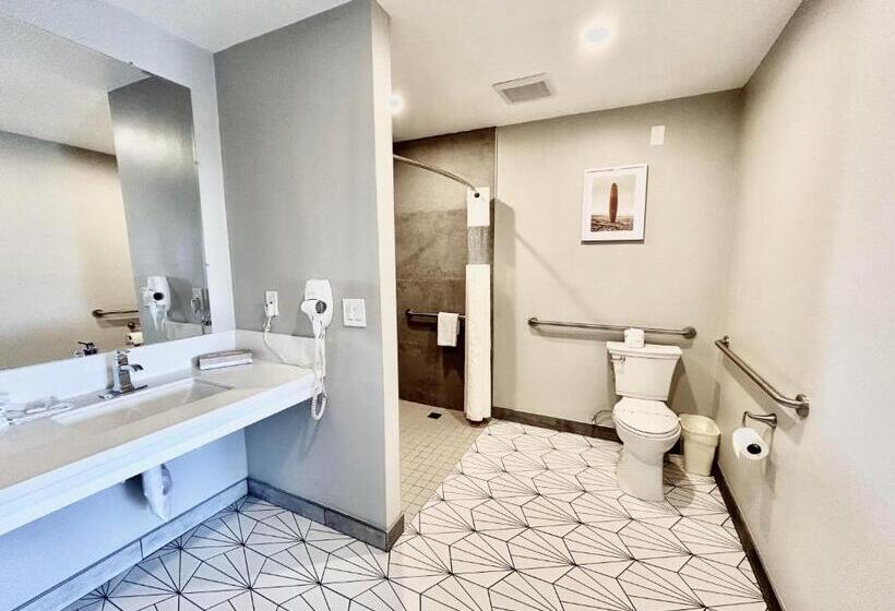 חדר סטנדרט מותאם לאדם עם מוגבלויות, Alamo Inn And Suites  Convention Center