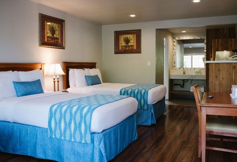 חדר סטנדרט, Alamo Inn And Suites  Convention Center