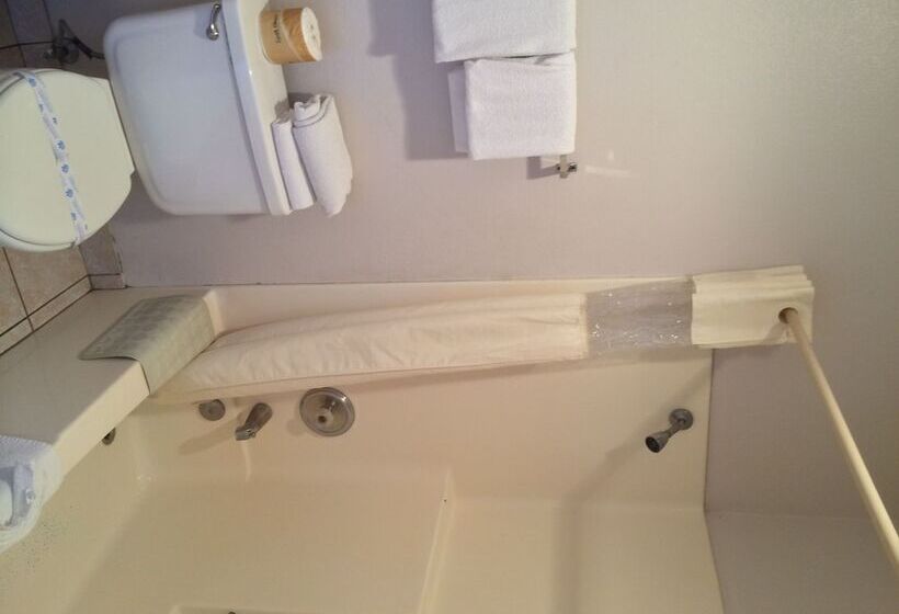 חדר סטנדרט, Alamo Inn And Suites  Convention Center