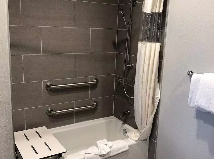 اتاق استاندارد با تخت بزرگ برای معلولان, Alamo Inn And Suites  Convention Center