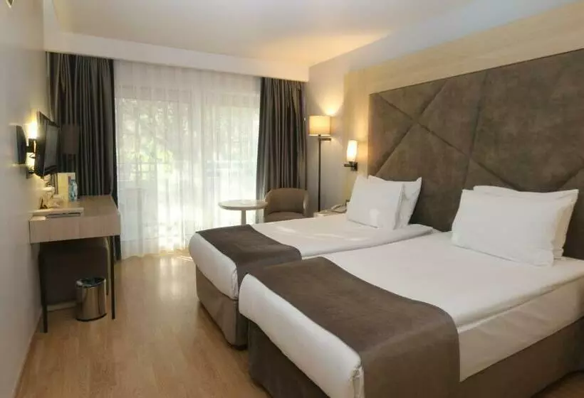 Superior Interior Room