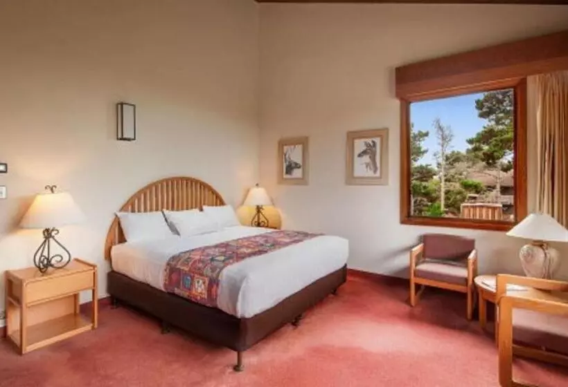 キングサイズベッドのスタンダードルーム, Asilomar Conference Grounds