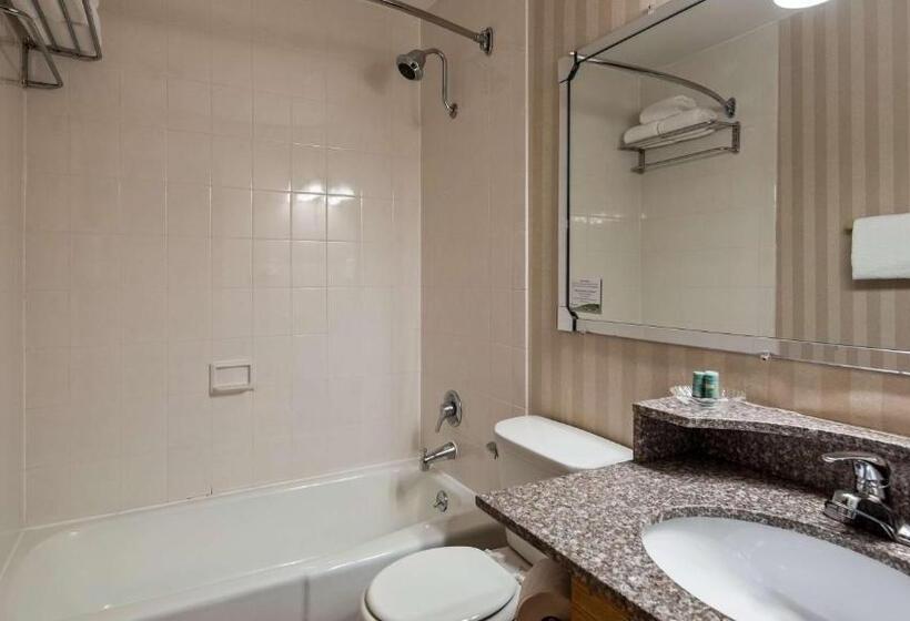 غرفة قياسية, Best Western Adirondack Inn