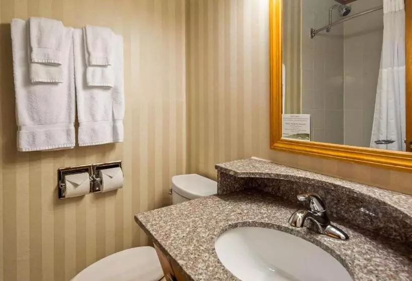 キングサイズベッドのスタンダードルーム, Best Western Adirondack Inn