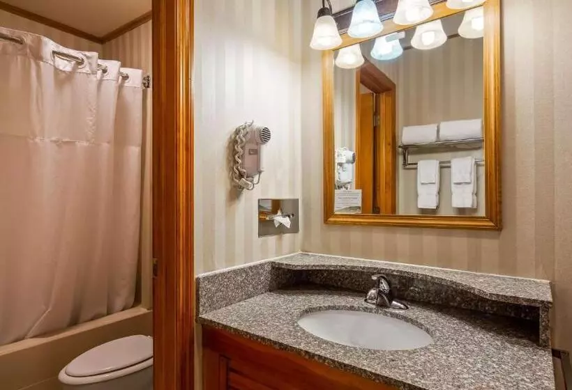 キングサイズベッドのスタンダードルーム, Best Western Adirondack Inn