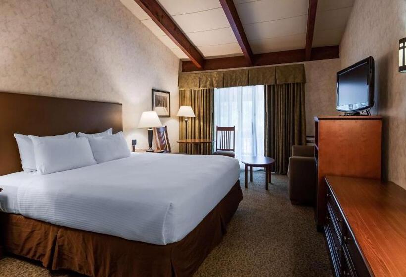 غرفة قياسية سرير كينج, Best Western Adirondack Inn