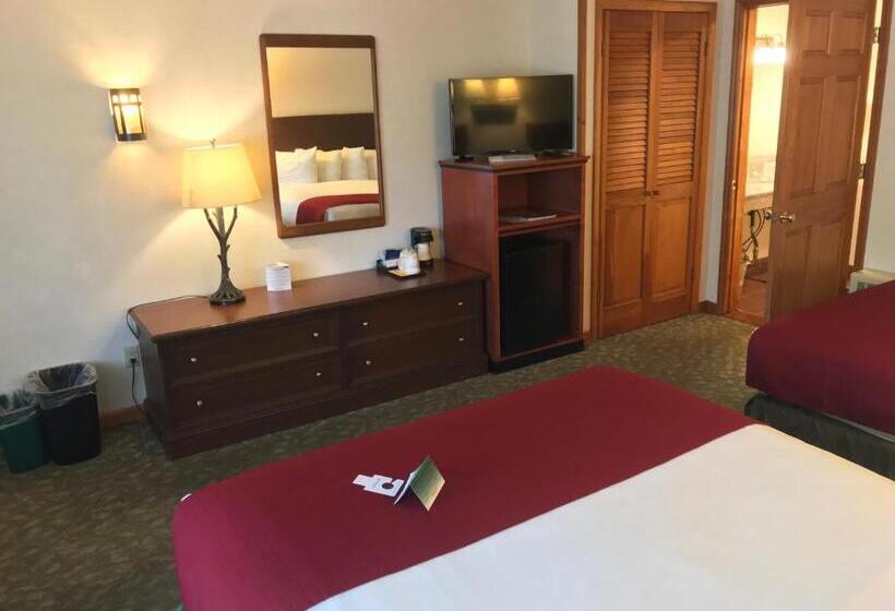 غرفة قياسية لذوى الاحتياجات الخاصة, Best Western Adirondack Inn
