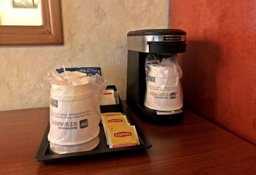 جناح مزود بجاكوزى, Best Western Adirondack Inn